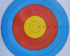 PinWin archery target faces