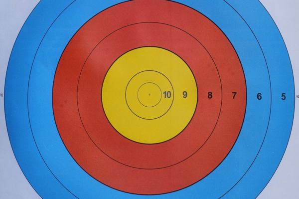 PinWin archery target faces